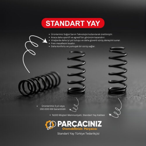 Standart Yay ST109053F Fiat Punto Ön Helezon Yay Takımı – 2 Adet